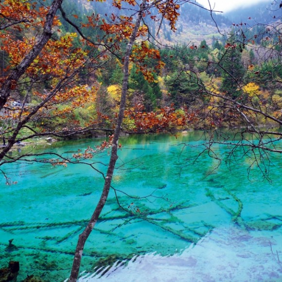 神奇的九寨沟—胡刚丽