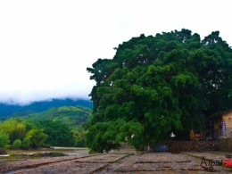 云水谣里有美女