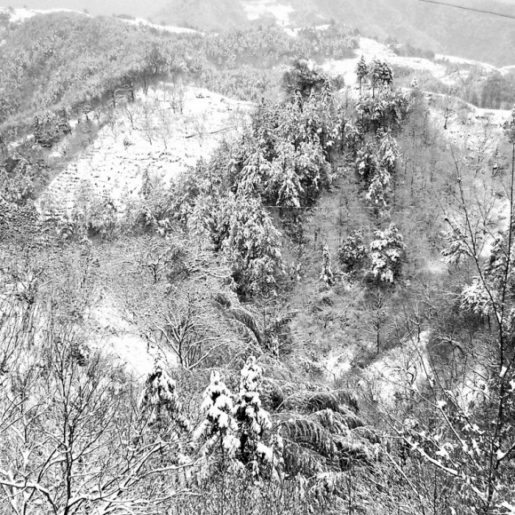 难忘的冬季 故乡的美景