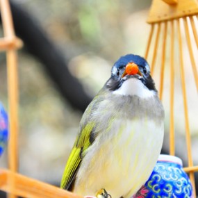 冯亚雄镜头中的世界