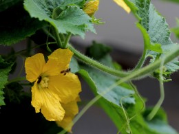 这个也太黄了！