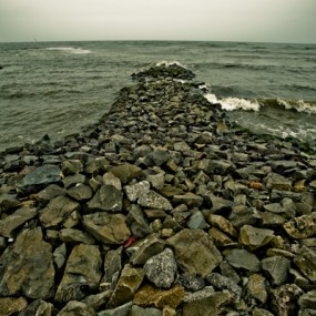 2009年2月7日-安纵记趣