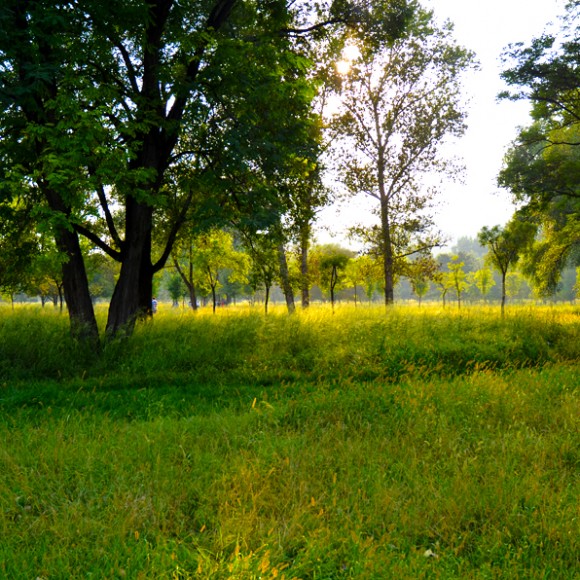 『消失的黄龙旗，余辉下的避暑行宫』