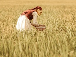 徜徉稻田 守望秋天