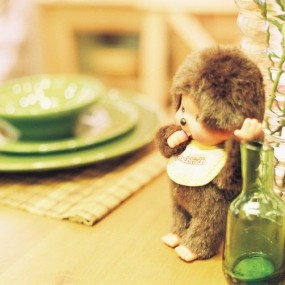 蒙猪猪宜家之旅（胶卷）