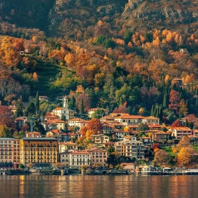 我想带你去看看，那些黄色的风景