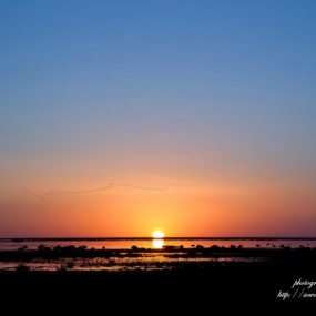 地球之美－－夕照湿地