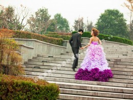 蒙娜丽莎——清林径