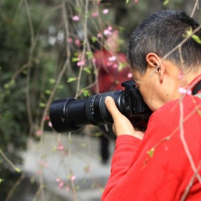 青龙寺的樱花开了！！！