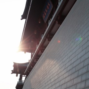 周日大家去拍美女，我去拍拍别的