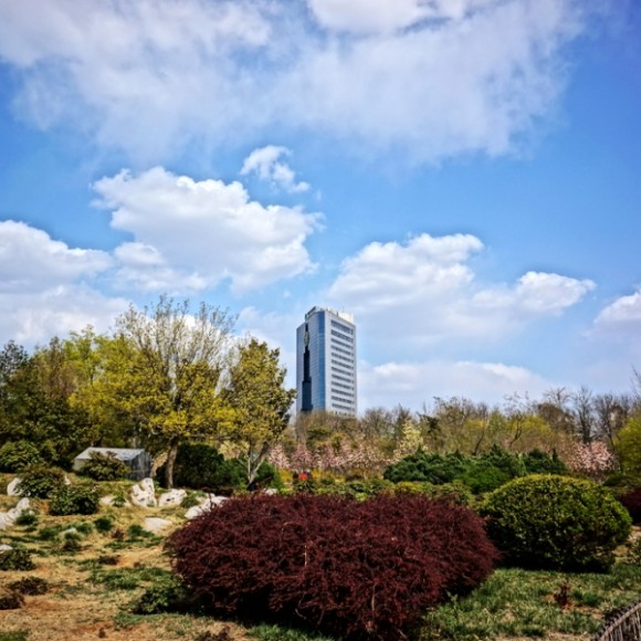 淄博的天怎么了