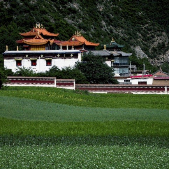 云上花开（二）神秘藏区