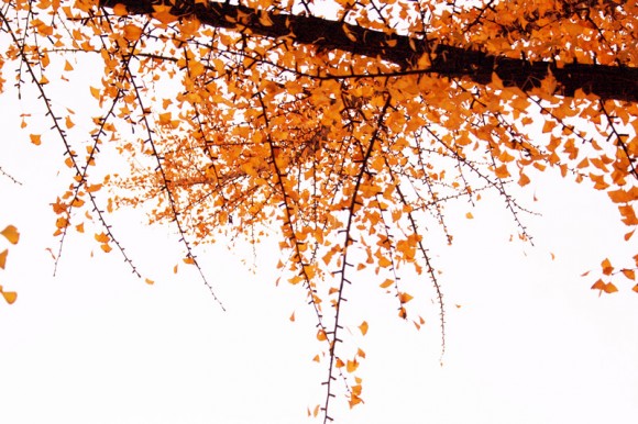 镜子乱拍&这个冬天不太冷。。。