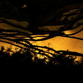 元阳梯田三绝——曲线、光影与云海