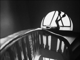 Aleksandra Kinskaj[乌克兰]摄影作品