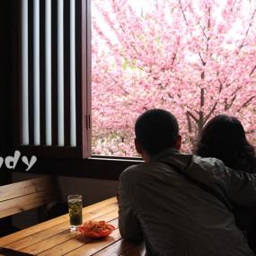 新手报到-----2012青龙寺赏樱