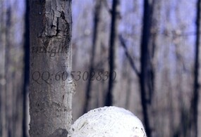 那个冬日的午后。