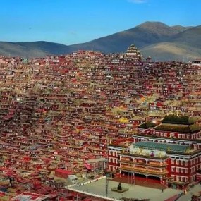 中国最美的春天，被这条路承包了！