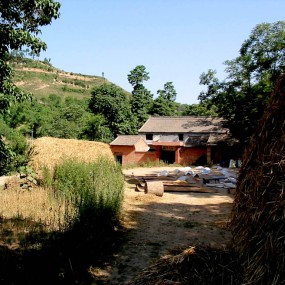 麦收时节的农户