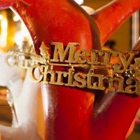 圣诞节 之 百态人生