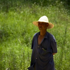 白鹿原的孟村人