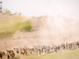 新生命——春牧