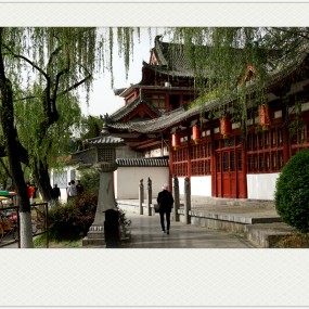 【随 拍】在 明 媚 的 春 光 里（ 3 ）