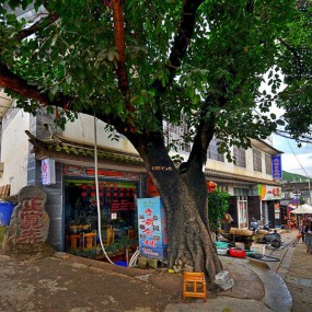 大理双廊古镇洱海