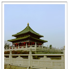 【随拍】 春意融融兴庆宫