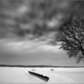 Pilgrim作品全集（六）