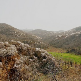 扶风野河山最后的人民公社