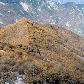 【随拍】 大山的呼唤（ 4 ）太 白 山