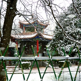 【随拍】 初春 . 拍雪