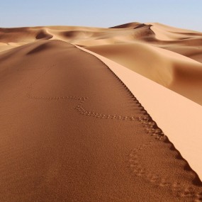 漂亮奇異美景[22P]