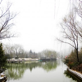 城市运动公园拍雪景