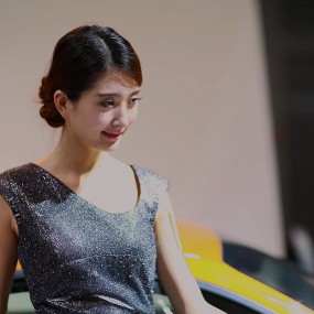 长的像林志玲的车模