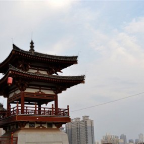 真心。诚意求指教。