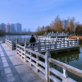 身边美景--丰庆公园