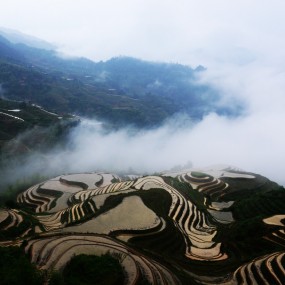 梦里梯田