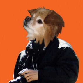 最好看一下，谢谢