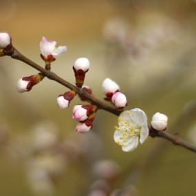 万物复苏 传递生命奇迹
