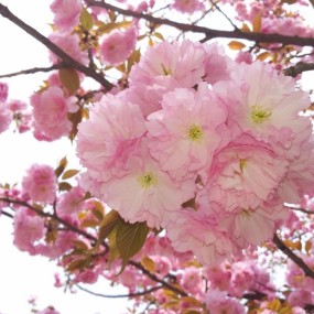 乱拍一气！！！