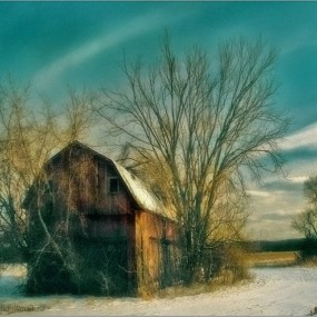 Pilgrim作品全集（四）