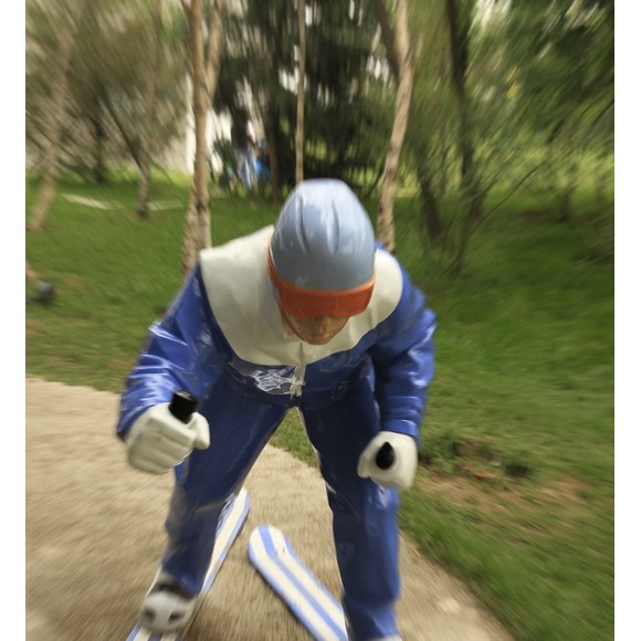 世园会诈骗几张