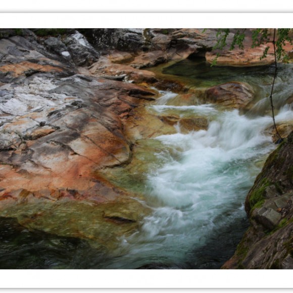 黄柏塬风光（二）