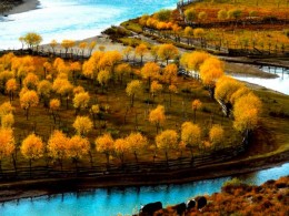 秒杀318，西藏惊现史上颜值最高的公路，此生必走一次！