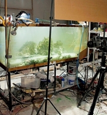 模型更要玩摄影