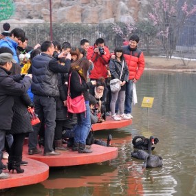 曲江南湖&兴庆公园（关键词成双成对，惊悚，天真）