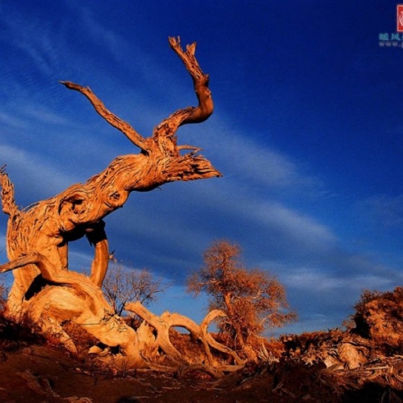 美丽的新疆，绝色风光（组图）