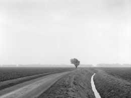 诗意的乡村风景 ｜摄影师Paul Hart ​​​​